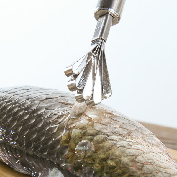Premium Stainless Steel Coconut Scraper - Image 5